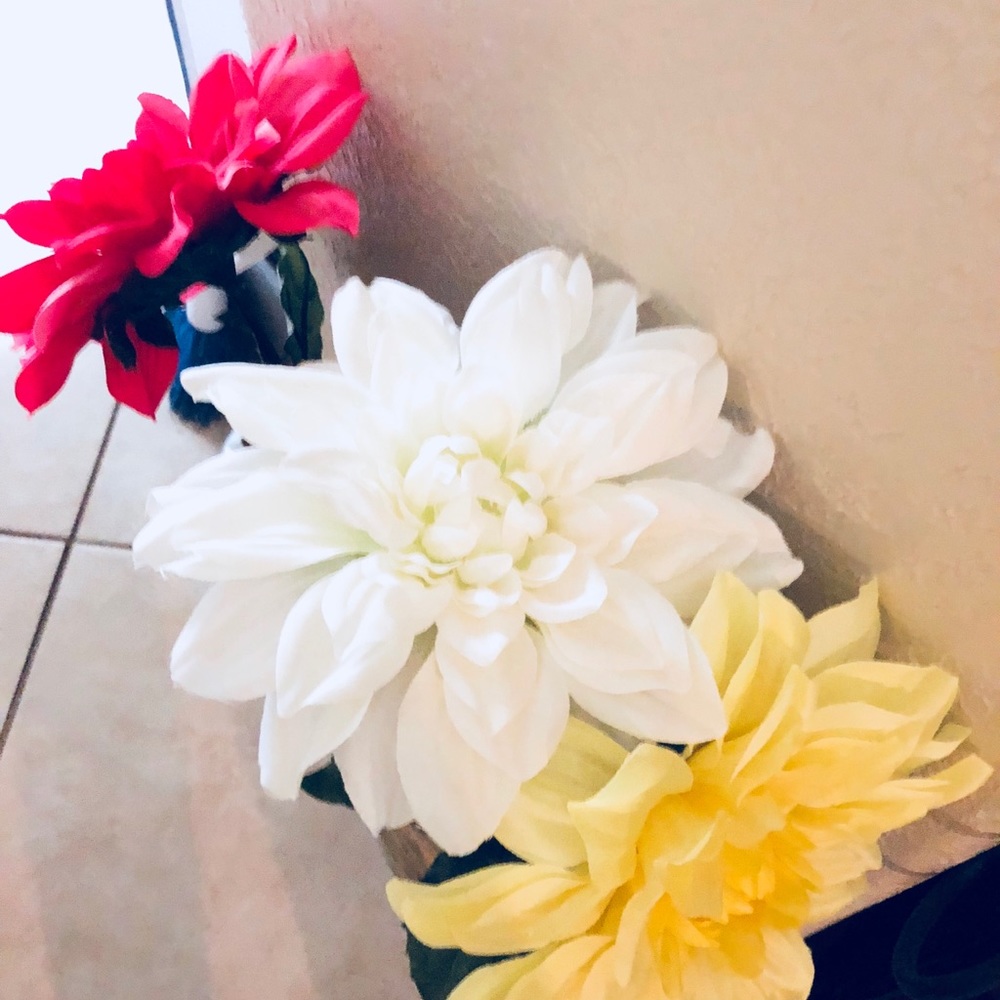 Meet your Posher, Lana